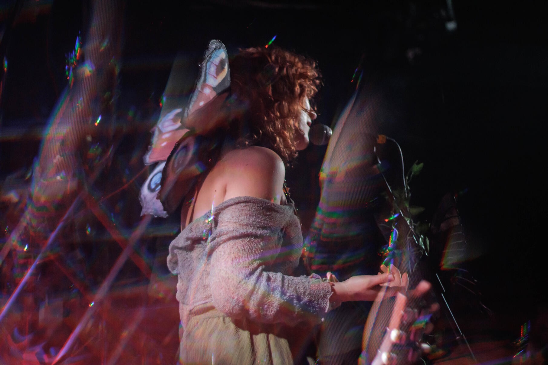 Rainbow Frog Biscuits